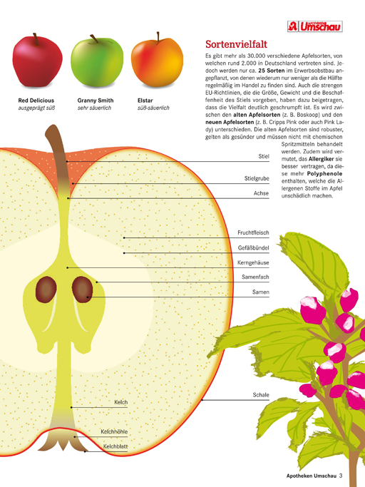 Doppelseite der Apotheken Umschau Wort & Bild Verlag – Layout und Illustration von Fabian Ibelherr